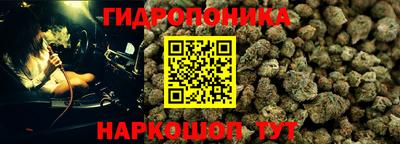 ПСИЛОЦИБИНОВЫЕ ГРИБЫ Пушкино